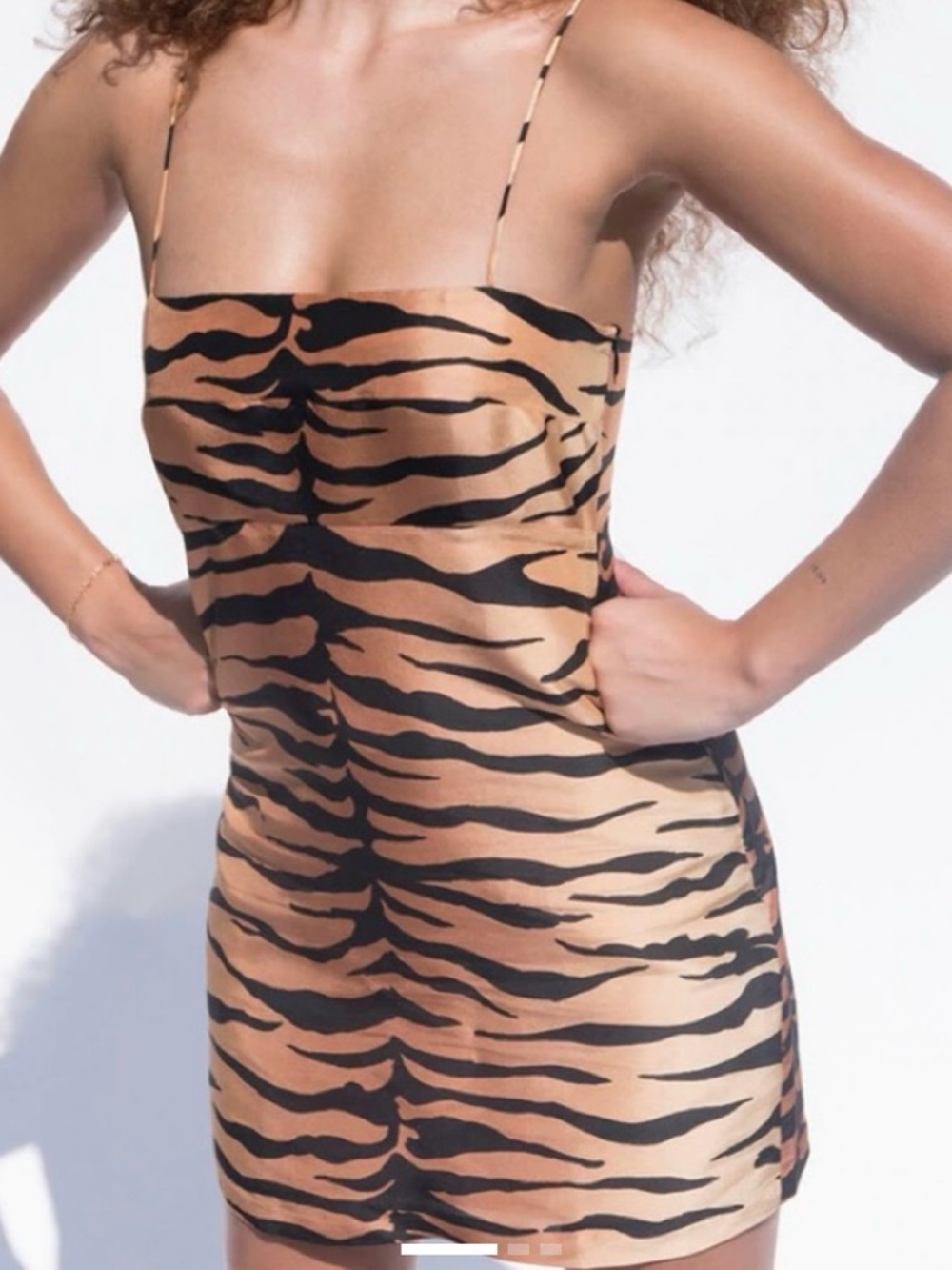 Realisation Par Silk Tiger Print Mini Dress XS